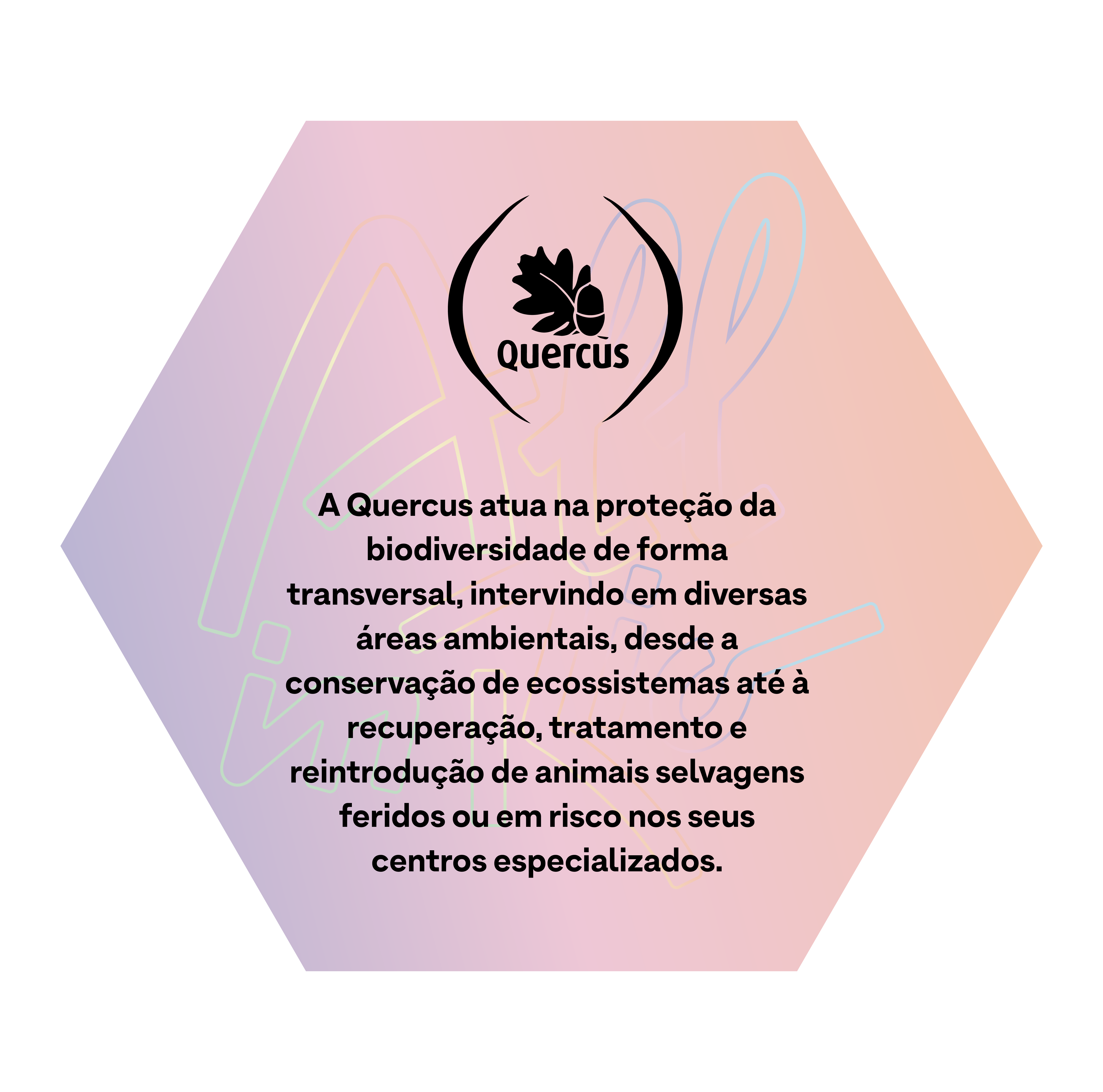 Quercus