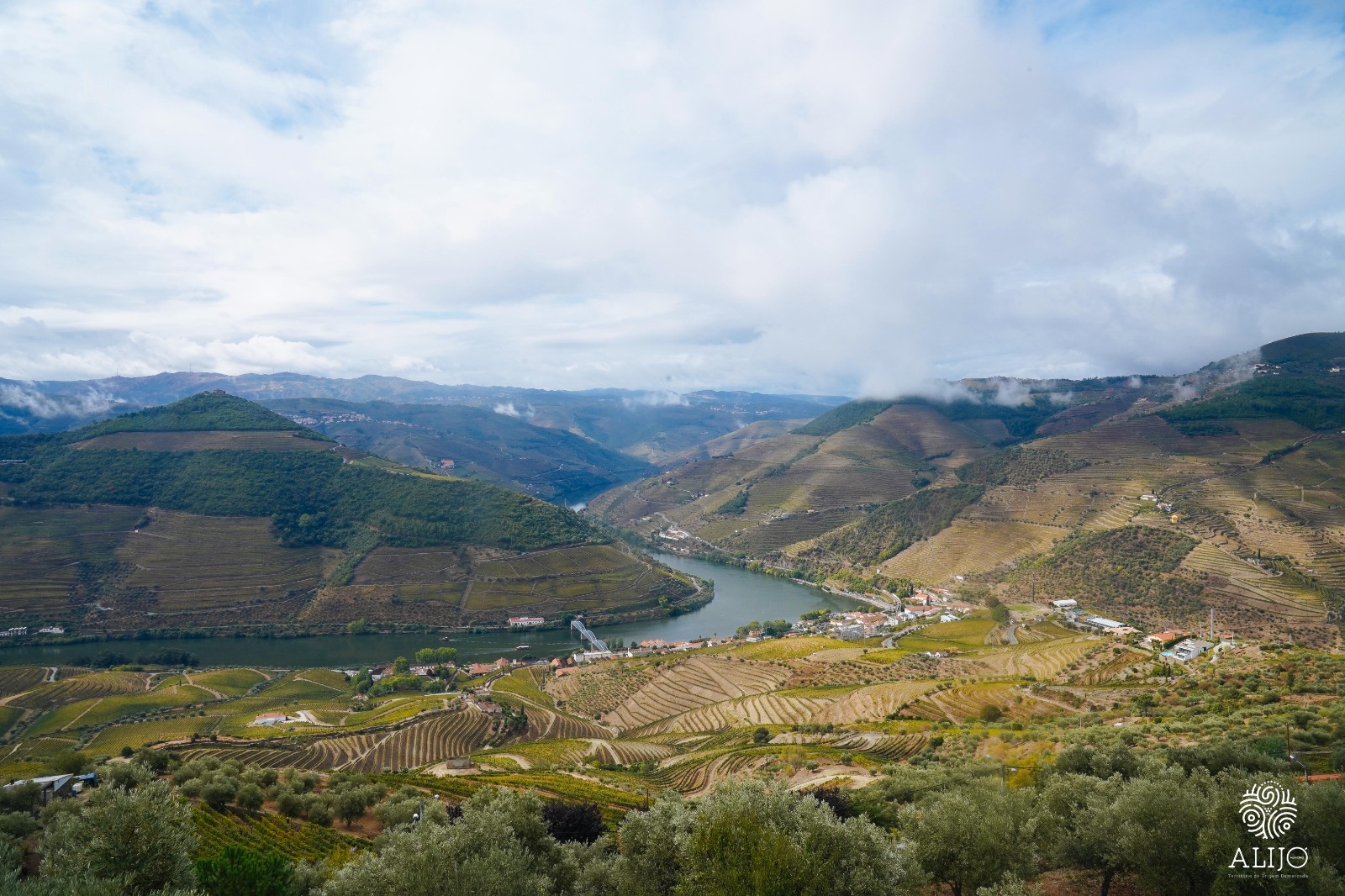 Alijó